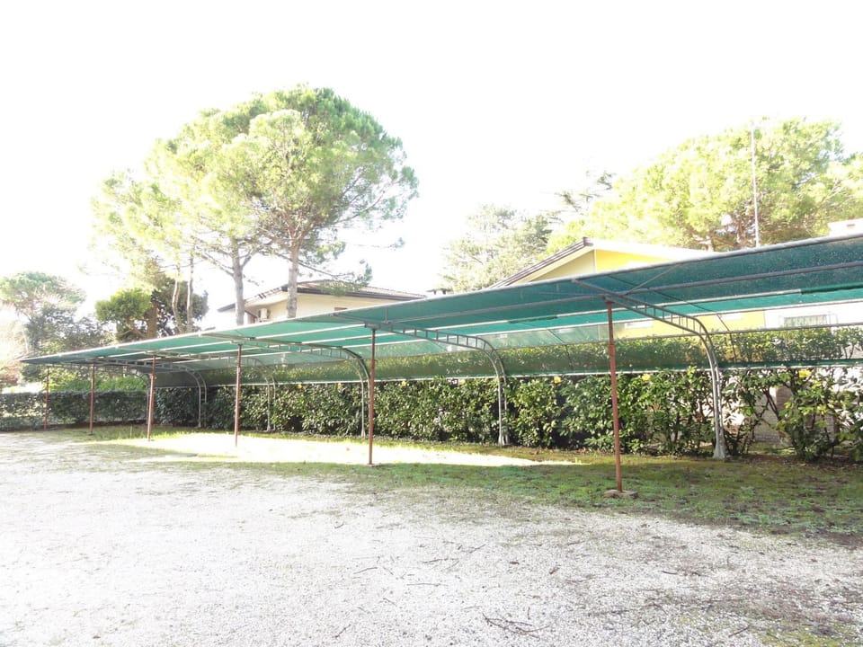 Patio, Garden
