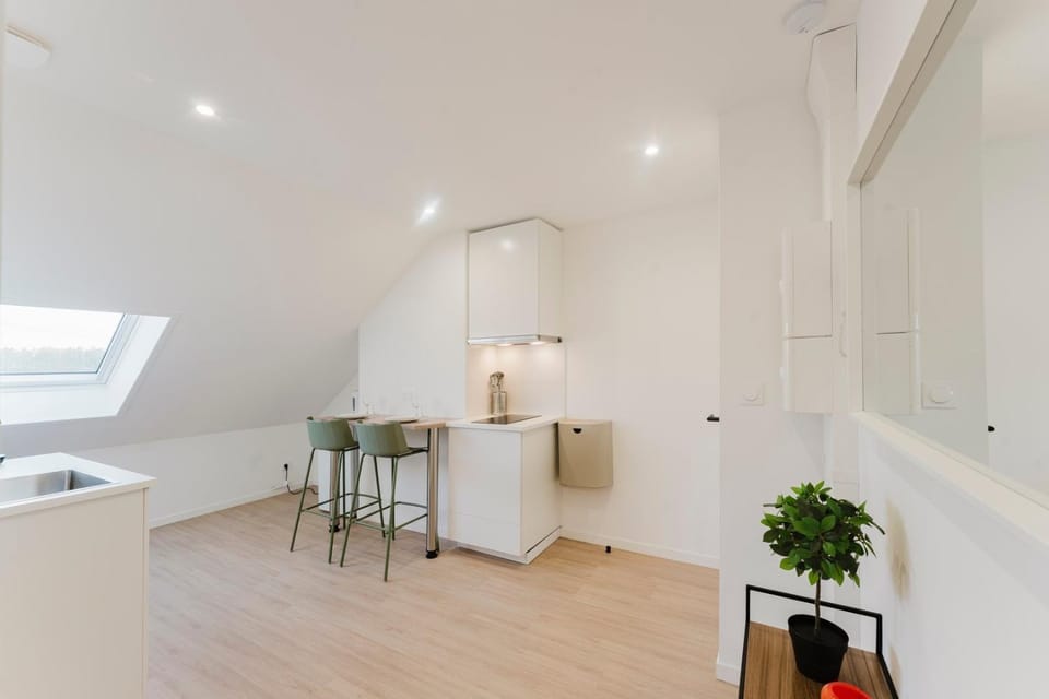 1-bedroom attic flat, close to the underground Apartment in Lille