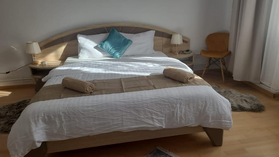 Apartament Anne Apartment in Timisoara