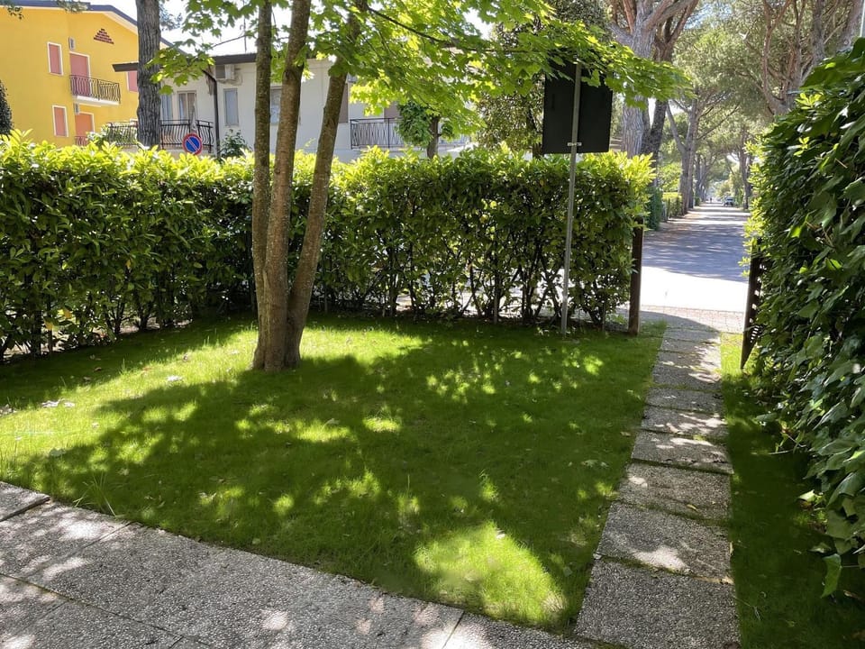 Patio, Garden