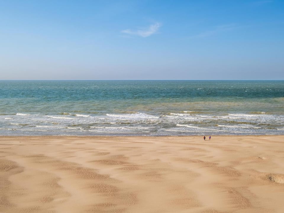 Summer, View (from property/room)