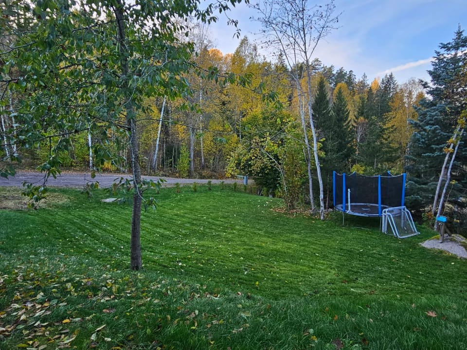 Villa Blackberry, nära Kolmården & Norrköping Nature lodge in Sweden