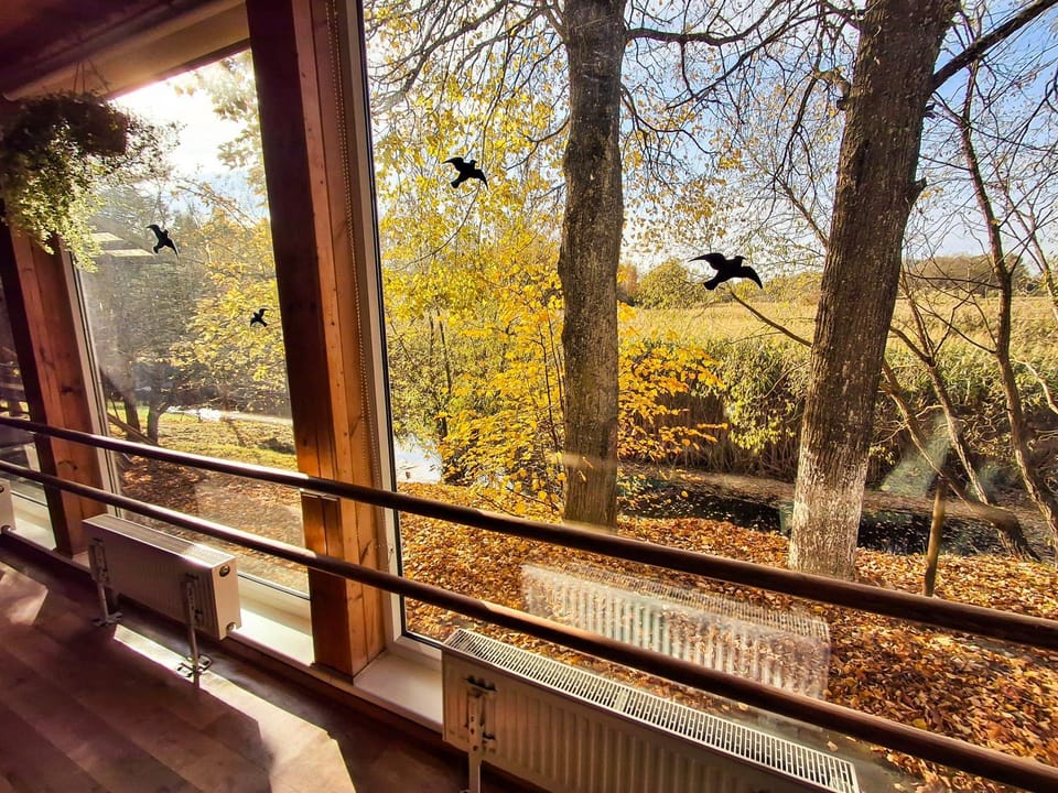 Day, Natural landscape, View (from property/room), River view