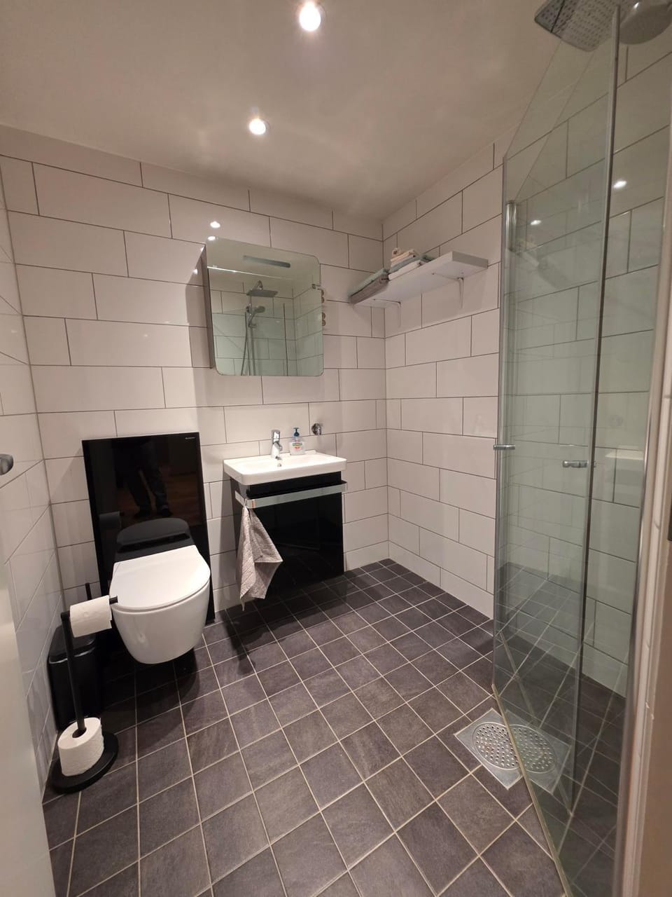 Shower, Toilet, Bathroom, towels