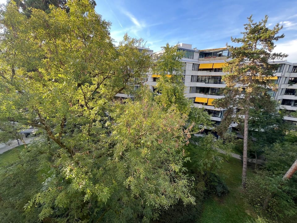 Natural landscape, Garden view