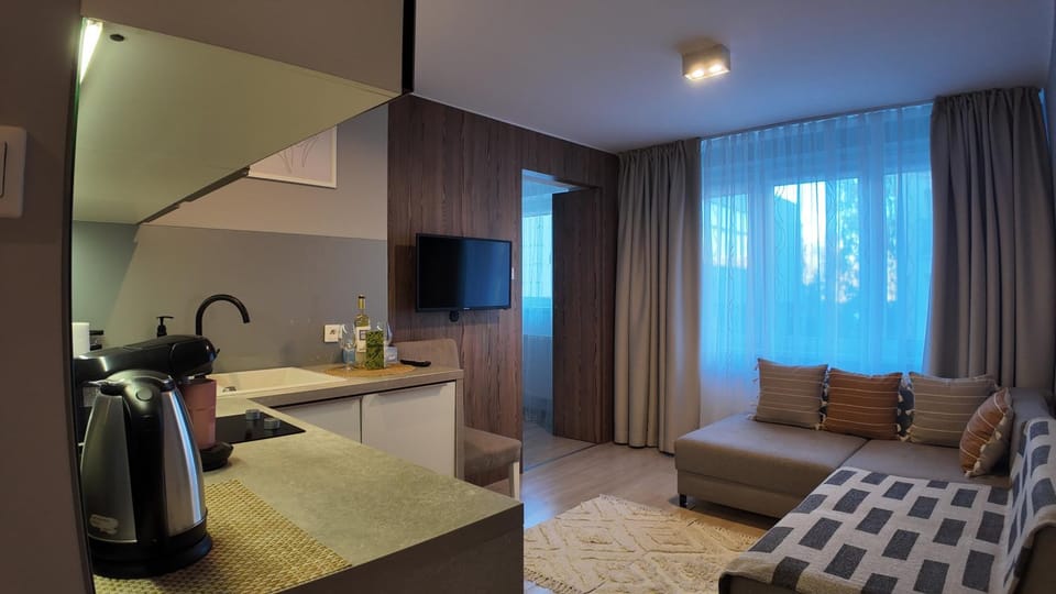 TV and multimedia, Kitchen or kitchenette, Living room, Photo of the whole room