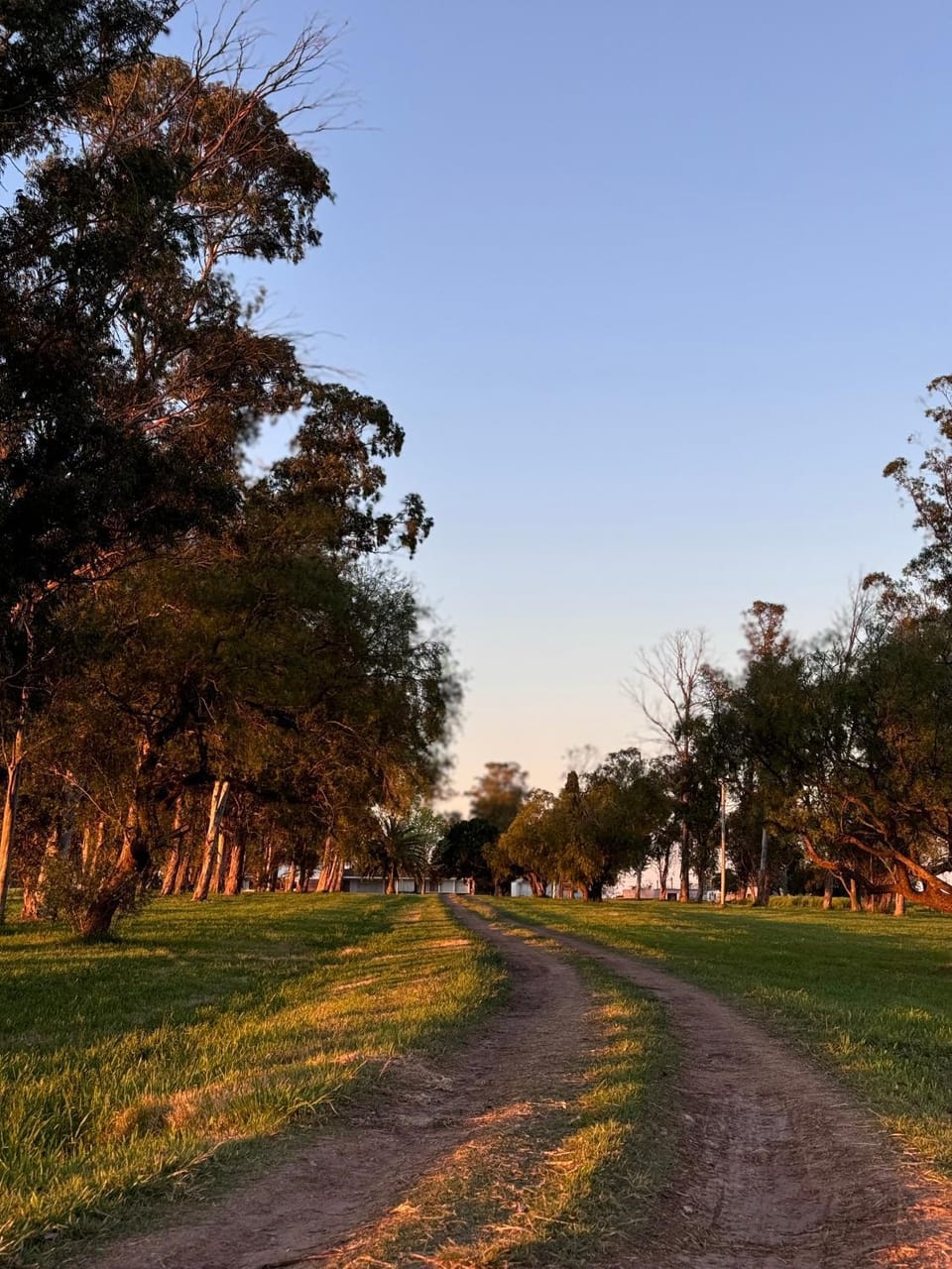 El Caburé - Casa de Campo House in Uruguay