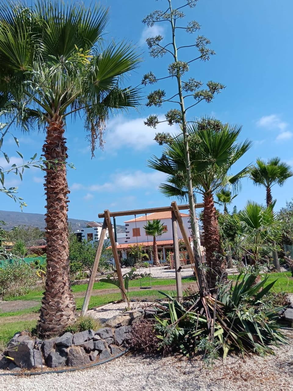 Property building, Garden