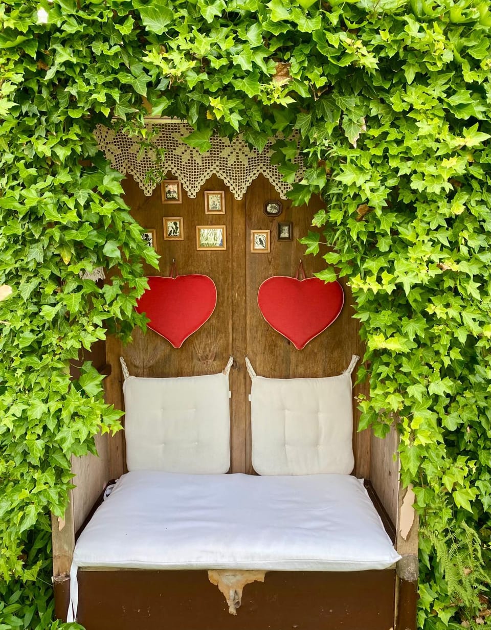 Garden, Seating area, Garden view