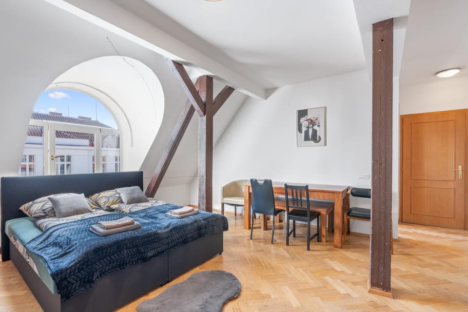 Royal Prague Gallery Apartment in Prague