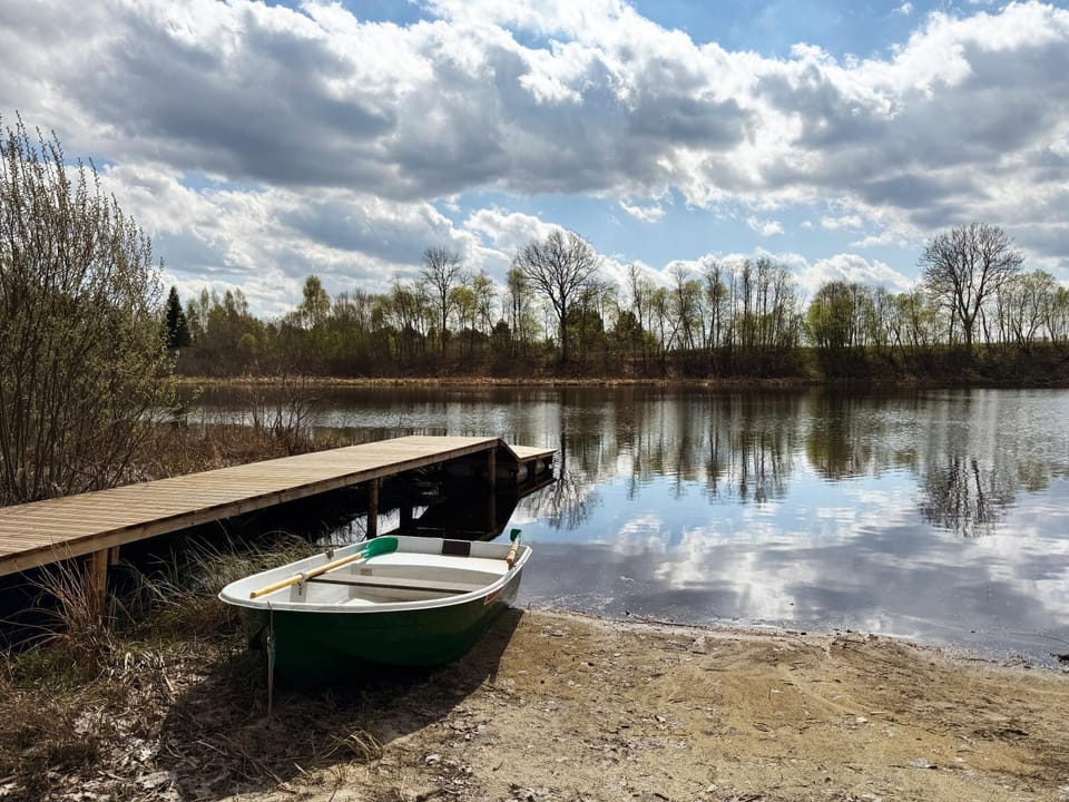 Lake view