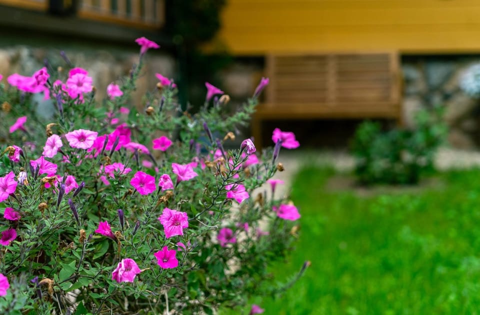 Garden, Garden view