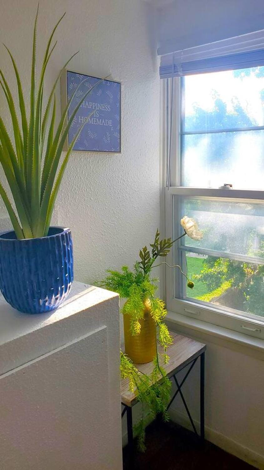 Ana Maria del Corona Apartment in Minneapolis