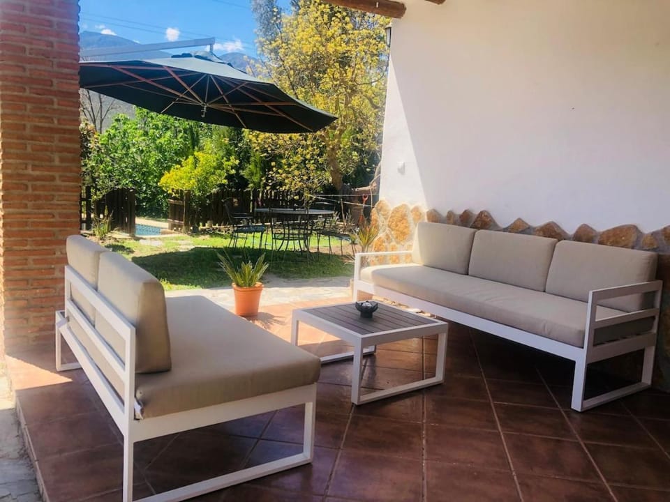 Patio, Garden view