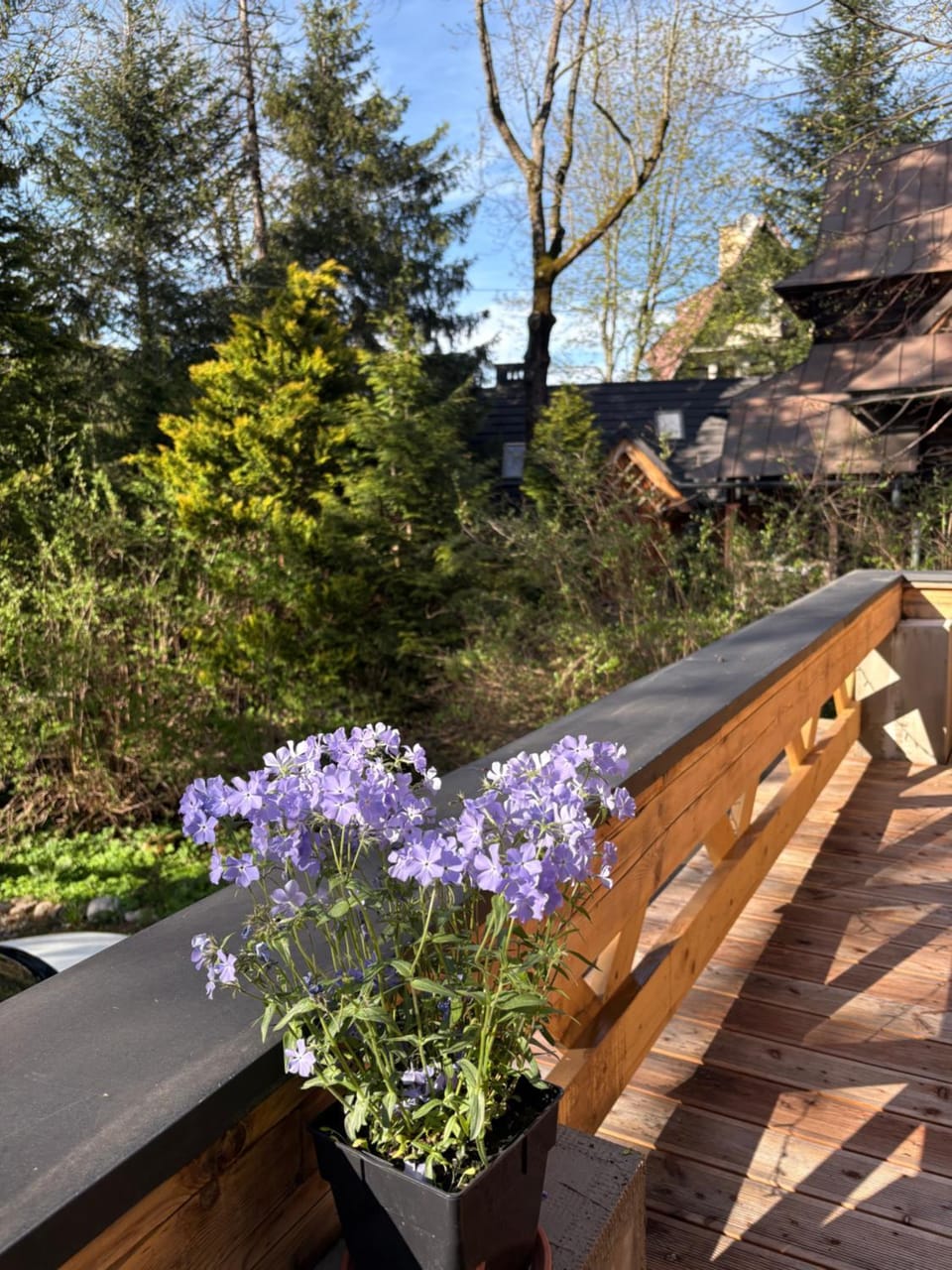 Natural landscape, Garden, Garden view