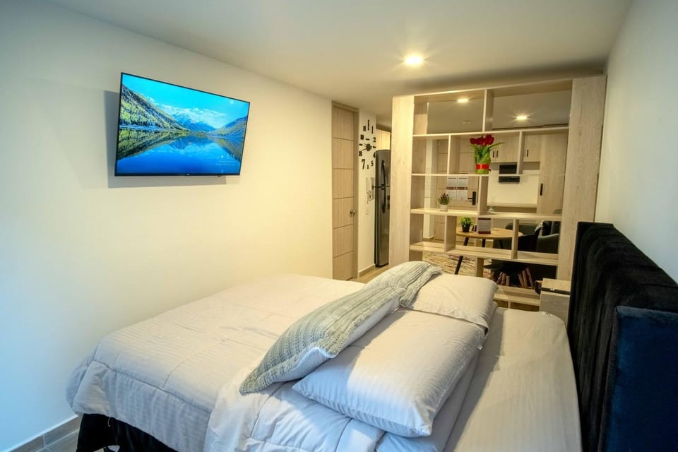 Bed, TV and multimedia, Kitchen or kitchenette, Photo of the whole room, Bedroom