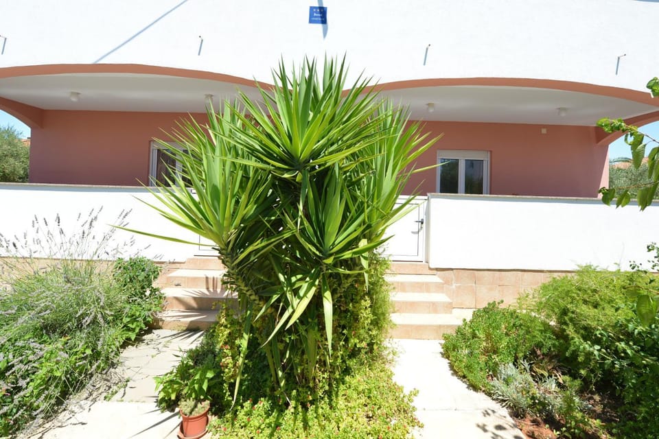 Location, children, Family