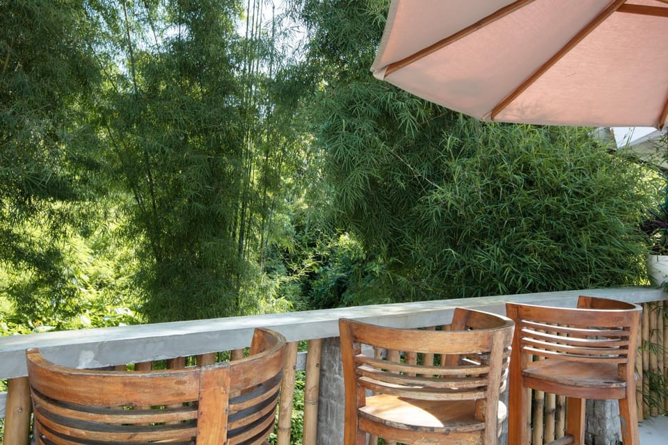 Patio, Garden