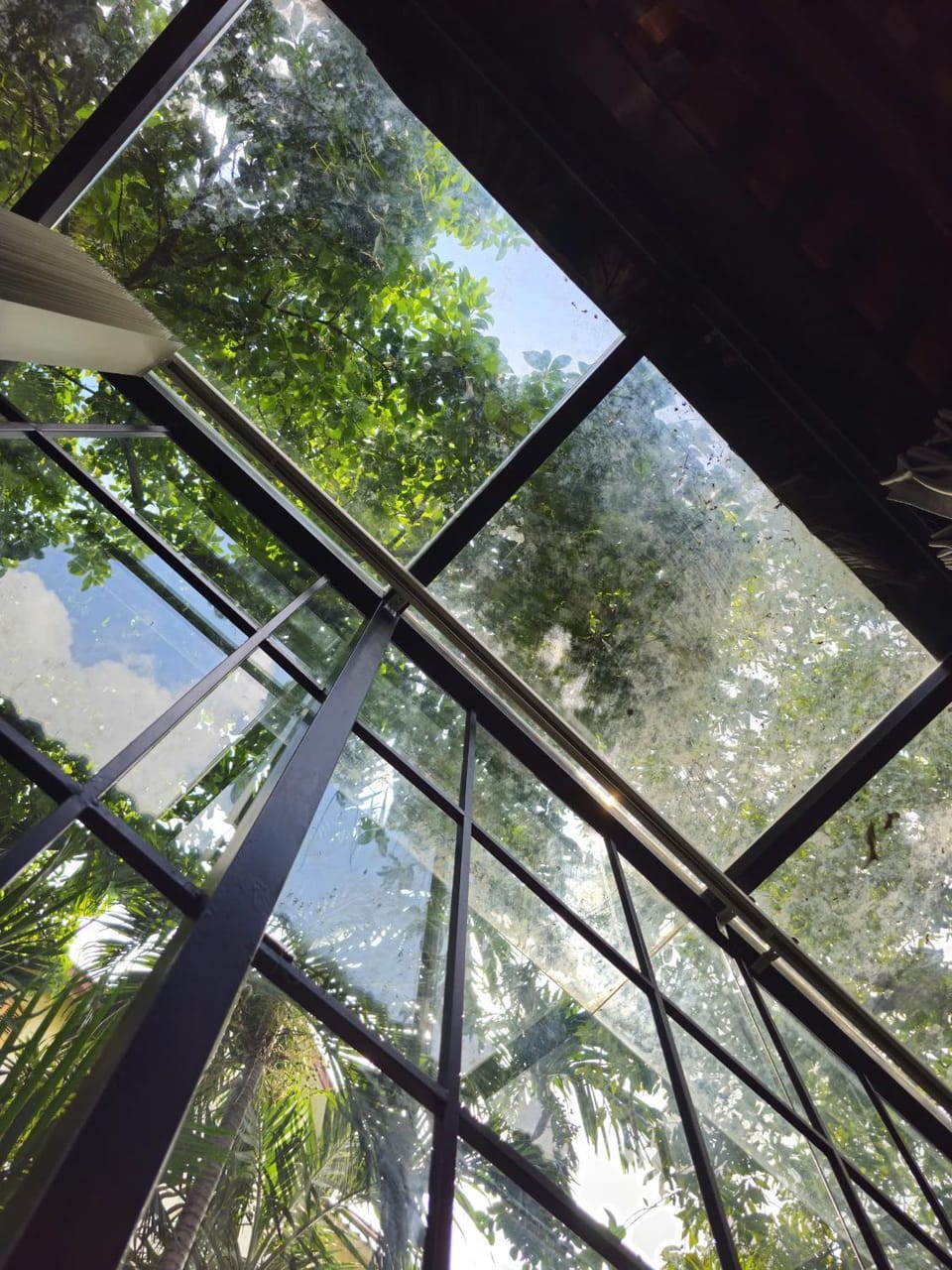 Garden view