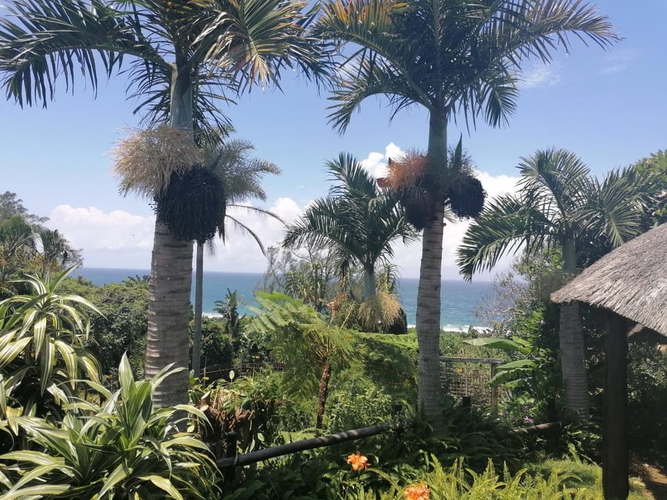 Garden, Sea view