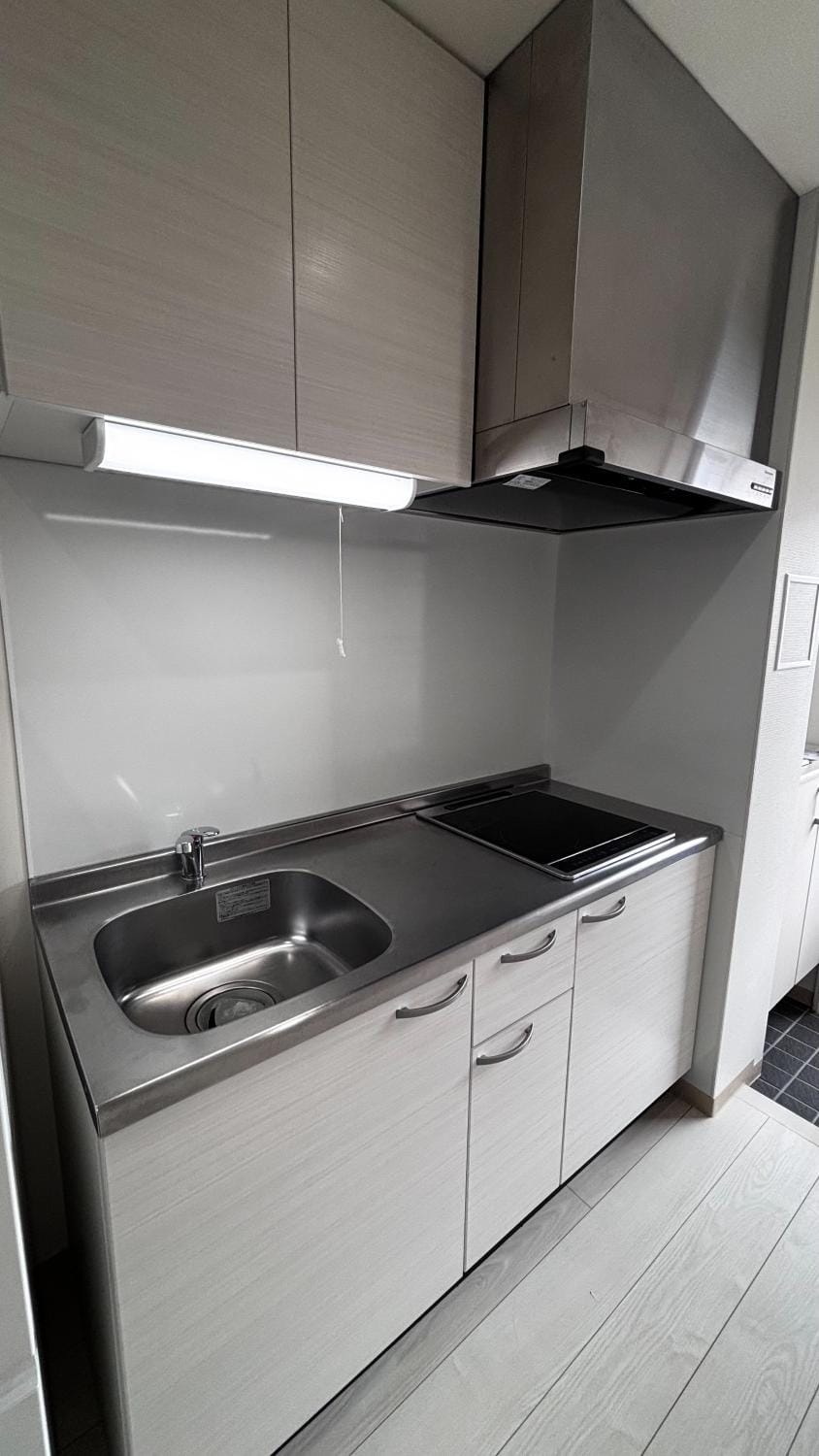 Kitchen or kitchenette, dishwasher, stove