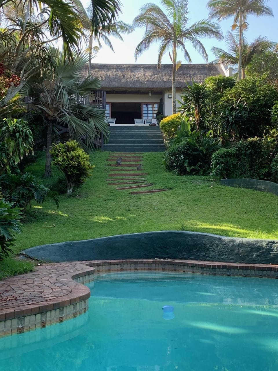 Garden, Swimming pool