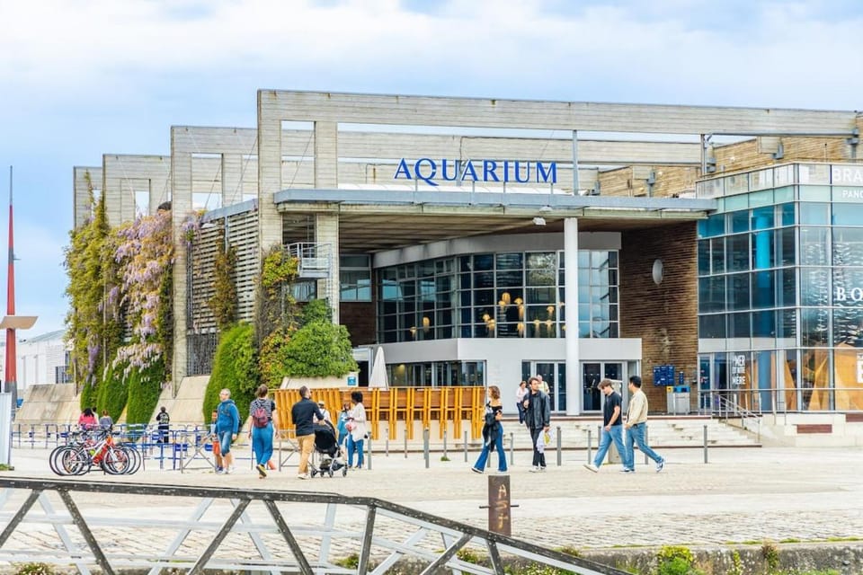 Séjour prestige - vue mer et accès privé à l'océan Apartment in Nouvelle-Aquitaine