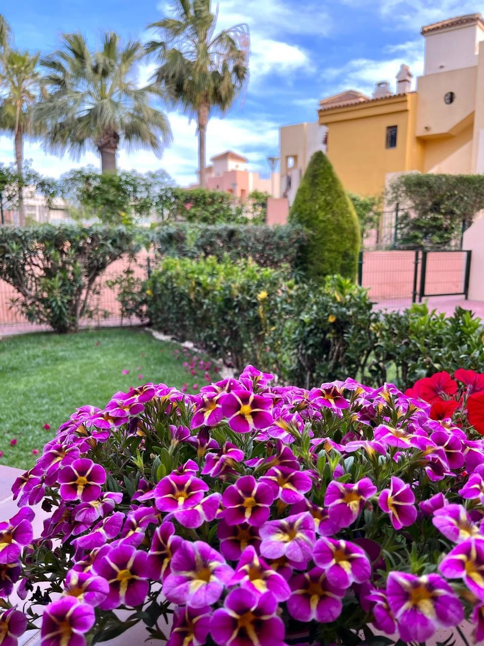 Garden view