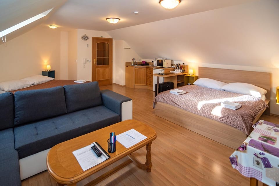 Apartmán a ubytování U Machů Apartment in South Moravian Region