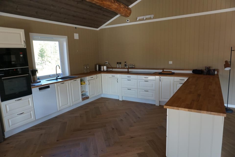 Kitchen or kitchenette, dishwasher, stove