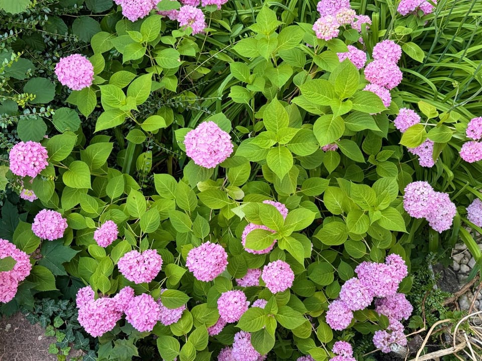 Off site, Day, Garden, Garden view