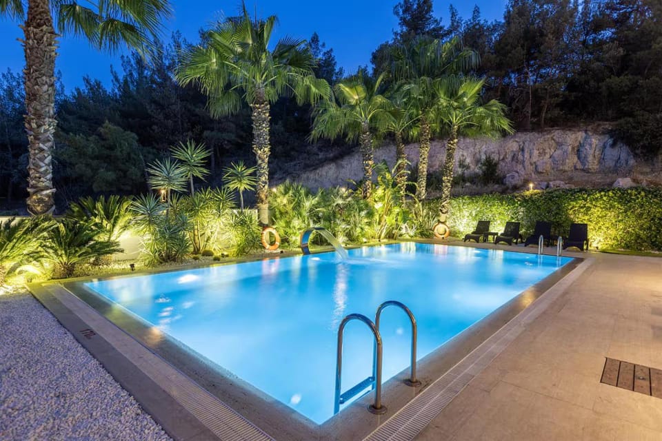 Night, Natural landscape, Garden, Garden view, Pool view, Swimming pool, sunbed