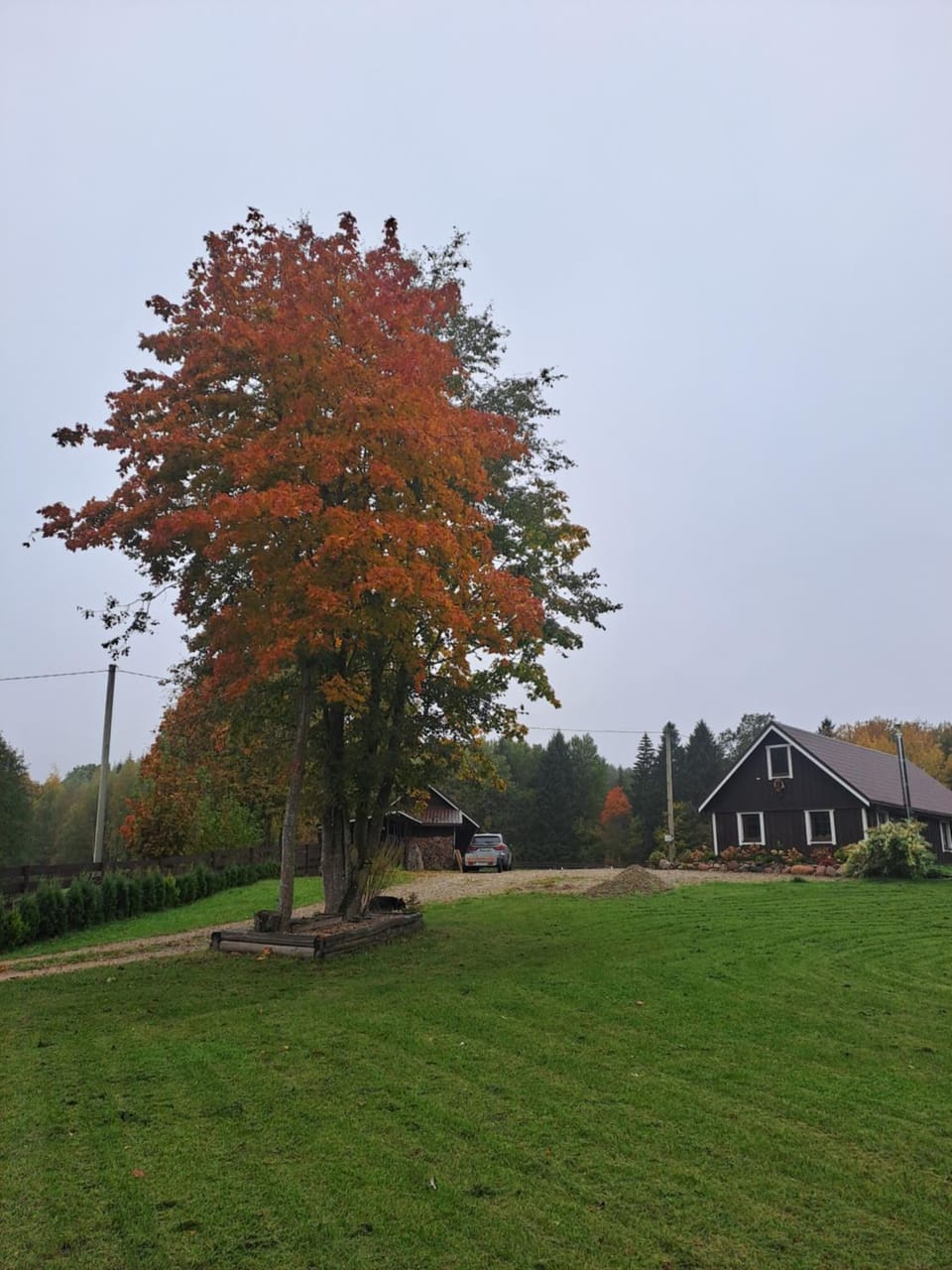 Property building, Natural landscape, Garden view