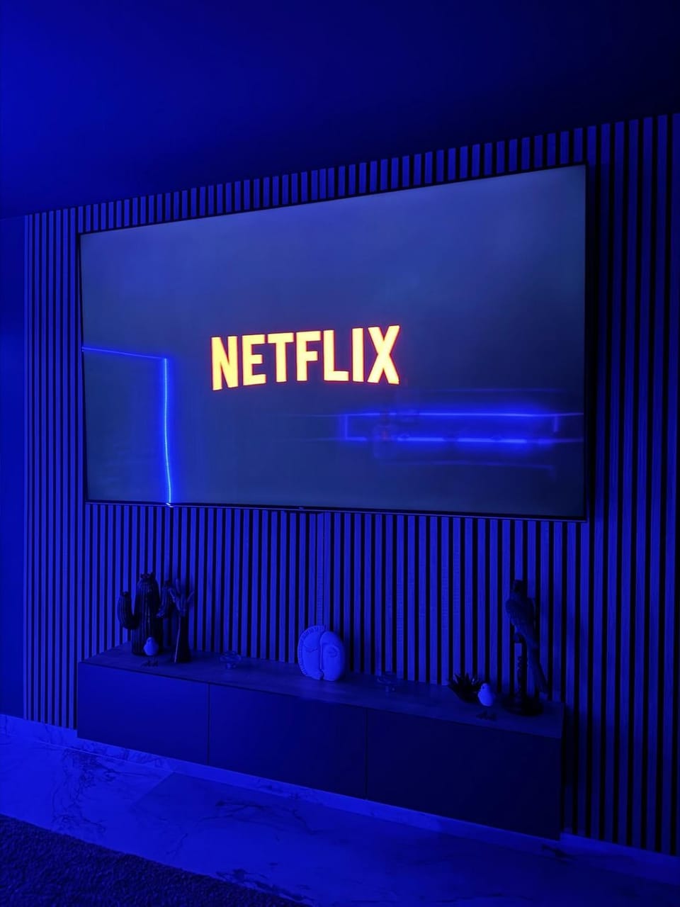 TV and multimedia