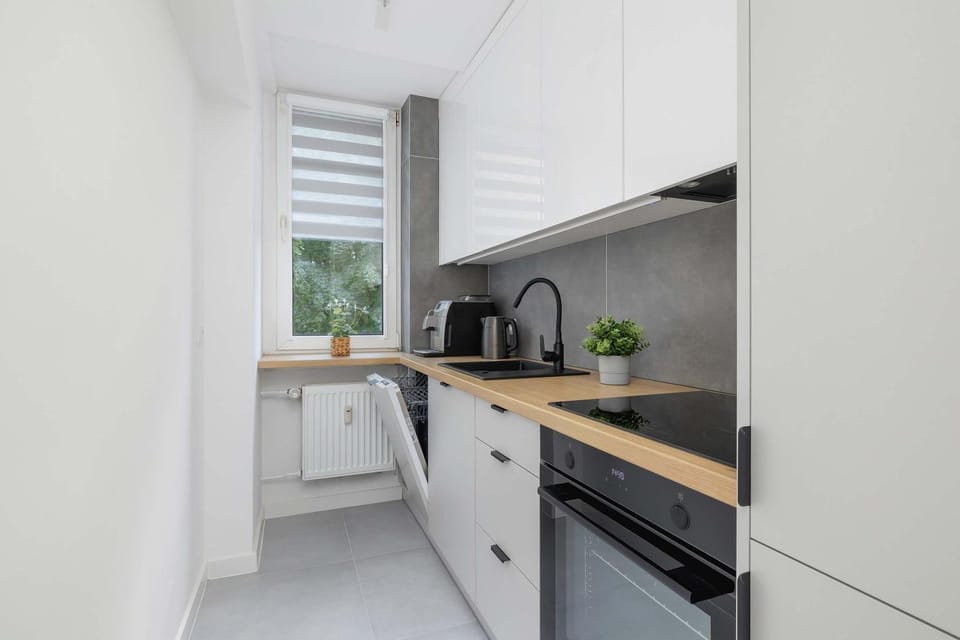 Kitchen or kitchenette, dishwasher, stove