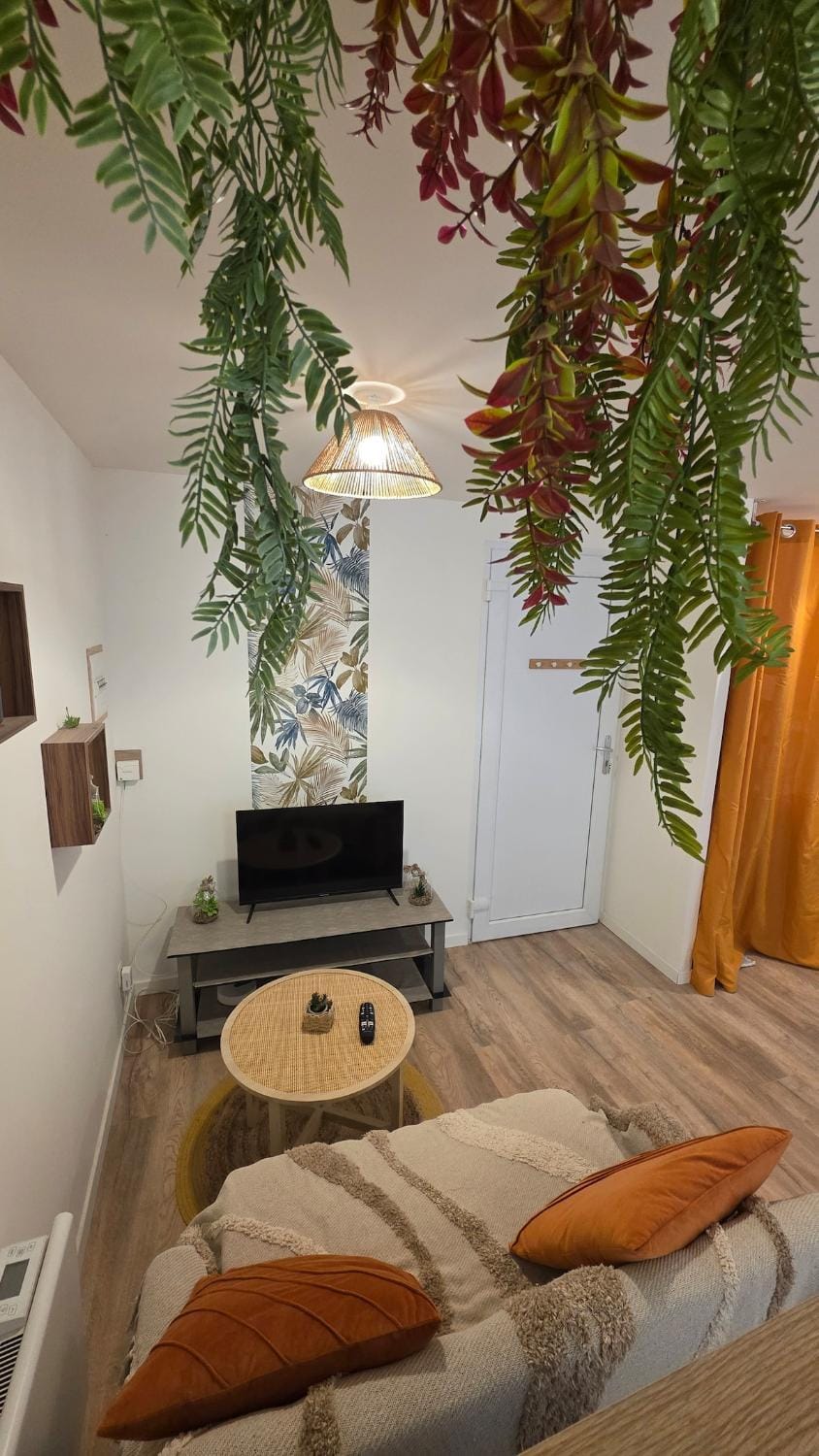 Communal lounge/ TV room, TV and multimedia