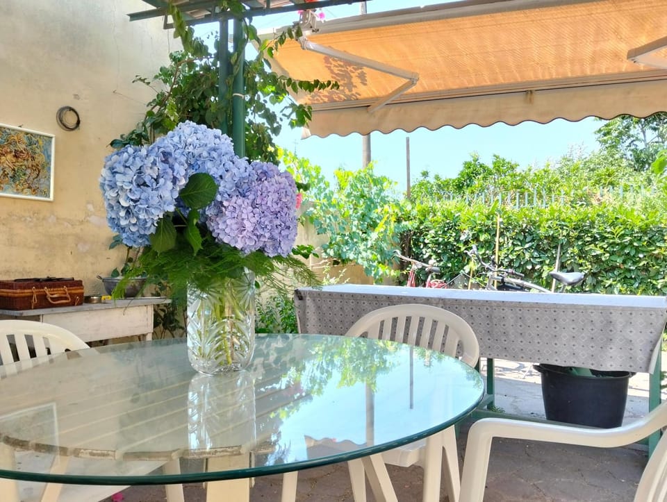 Spring, Day, Garden, View (from property/room)