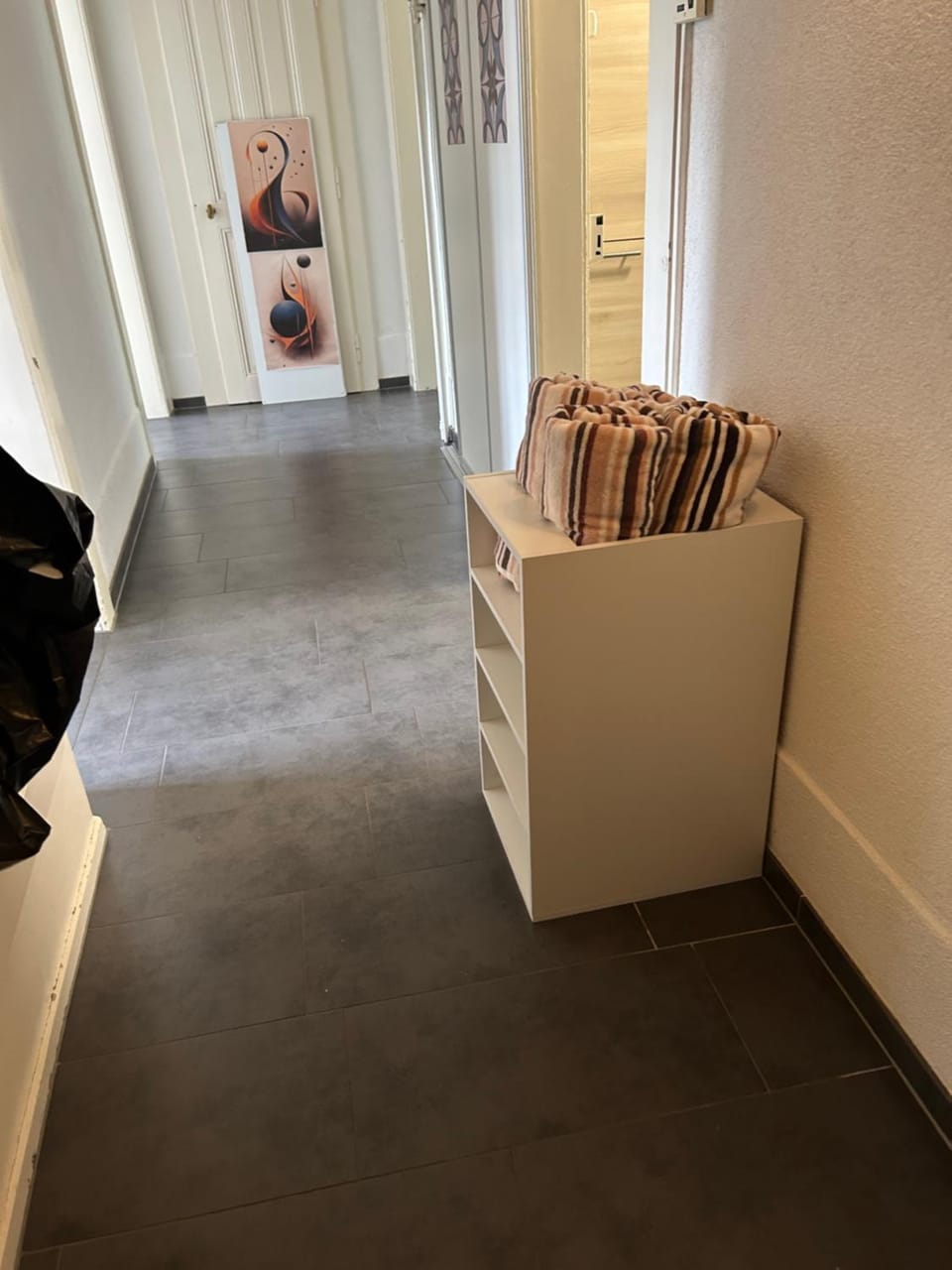 Le Style Haussmannien Apartment in Canton of Bern (Region)