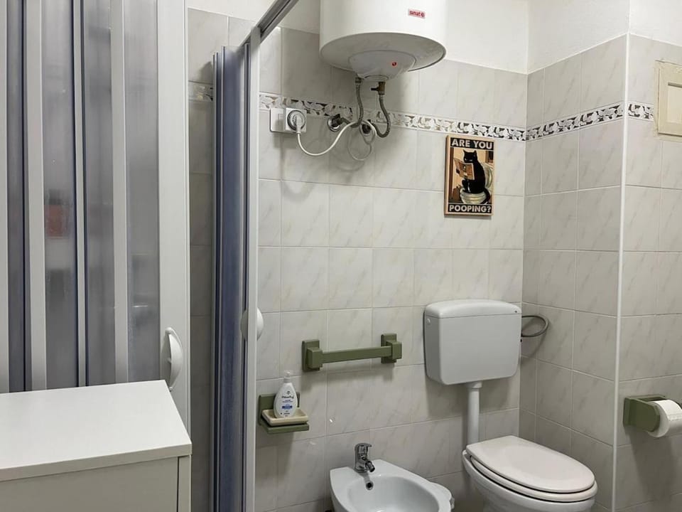 Shower, Toilet, Bathroom, bidet