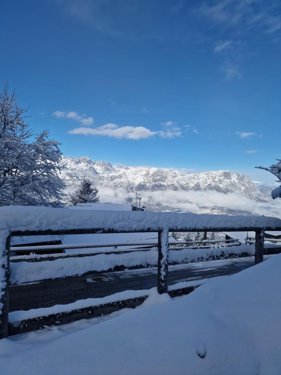Casa nel Bosco Vason Chalet in Trentino-South Tyrol