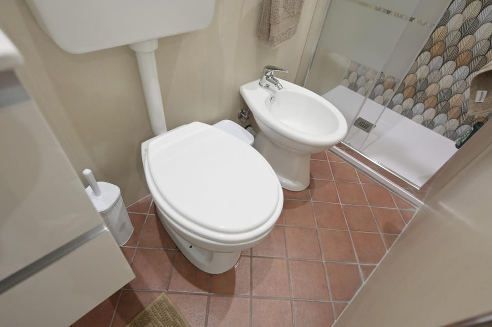 Shower, Toilet, Bathroom, bidet