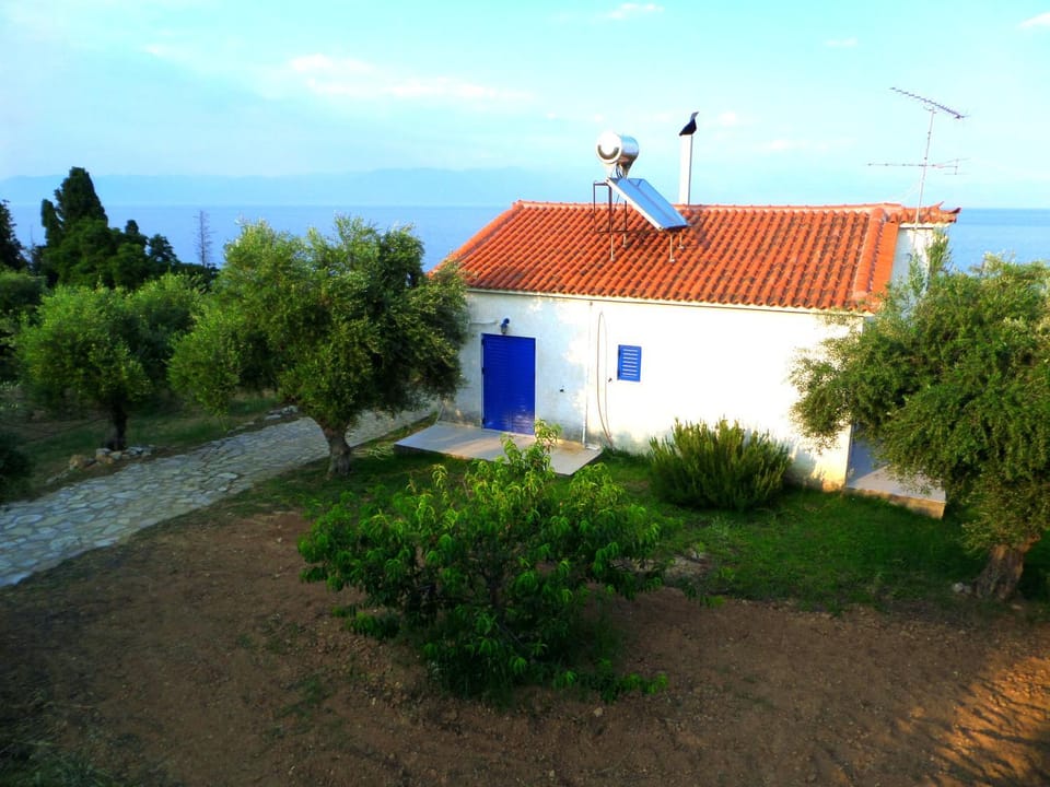 Property building, Day, Garden