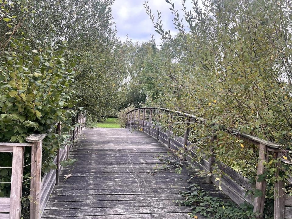 Garden, Garden view