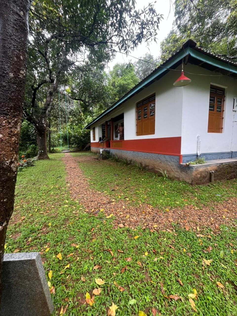 Property building, Day