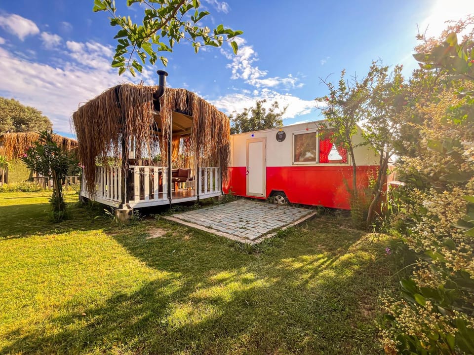 Property building, Garden view