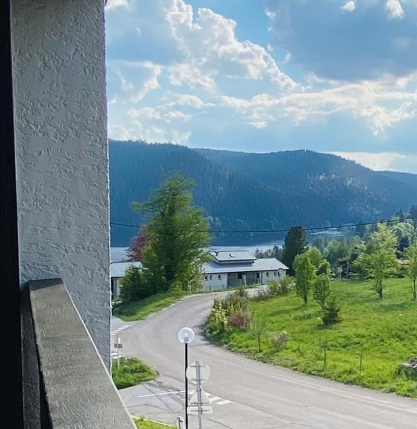 Studio à Gérardmer, les Dryades Apartment in Gérardmer