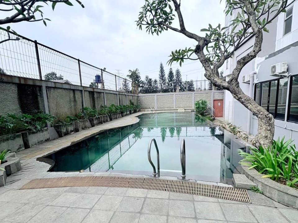 Swimming pool, Swimming pool
