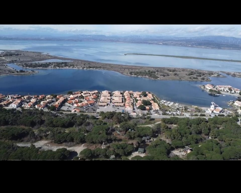 Bird's eye view, Location