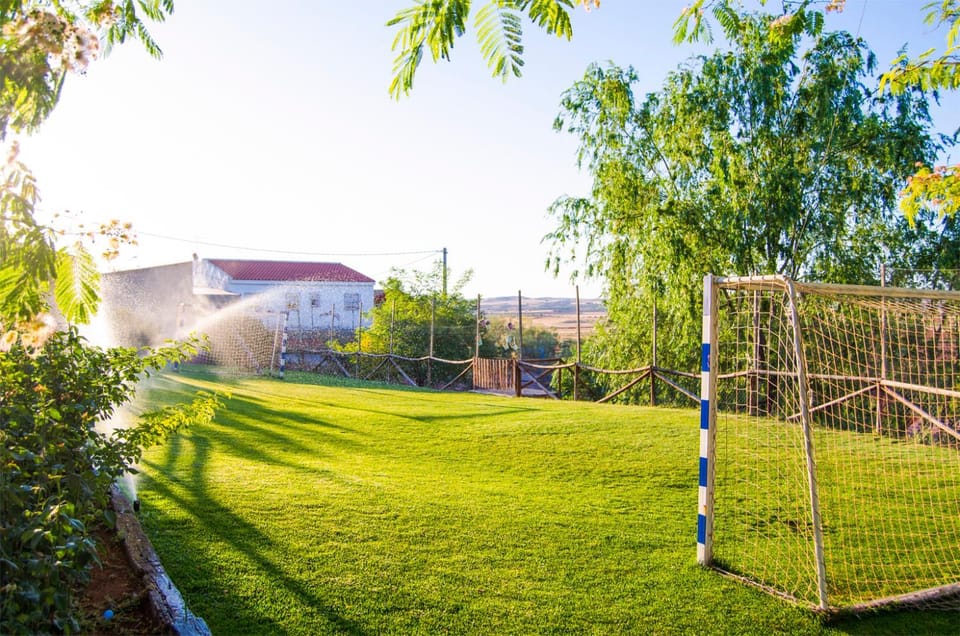 Day, Natural landscape, Garden, Garden view