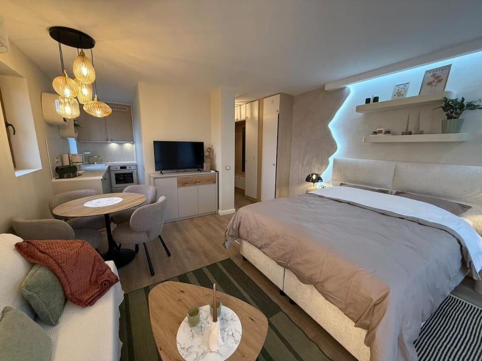 Bed, TV and multimedia, Kitchen or kitchenette, Photo of the whole room, Dining area, Bedroom